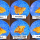 Illustration for article titled Animals in Unbelievable Detail Drawn Entirely in Pancake Batter